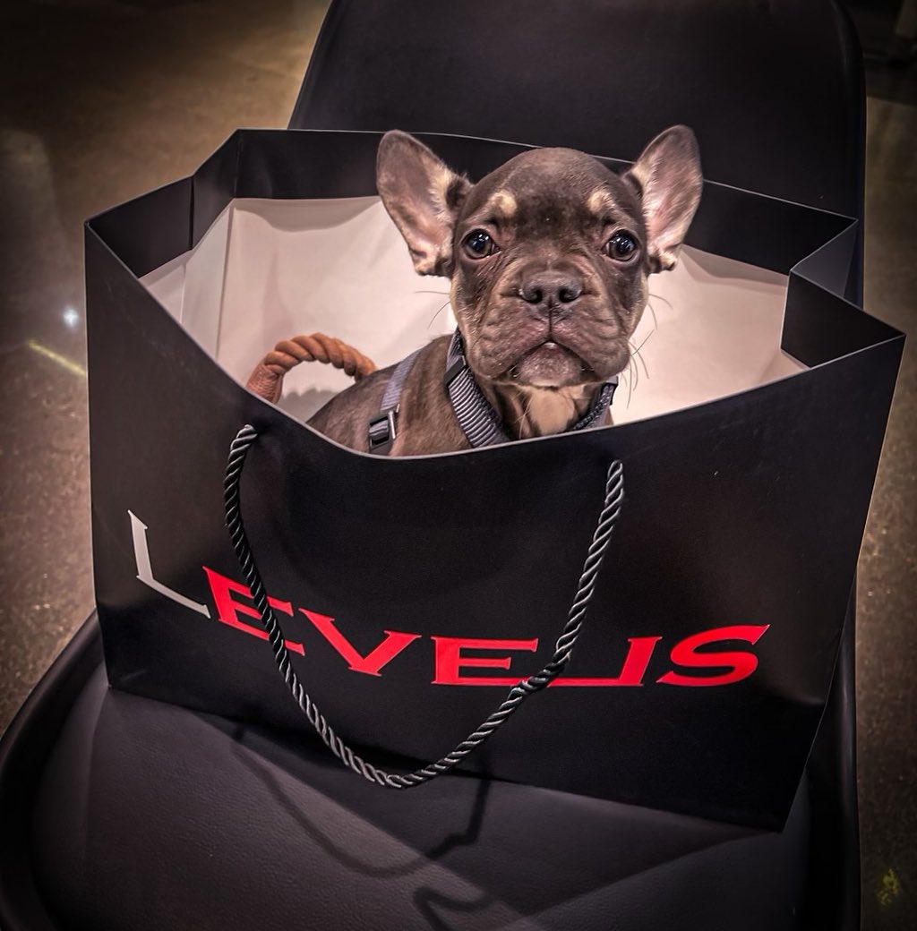 Levels | Rochester MN