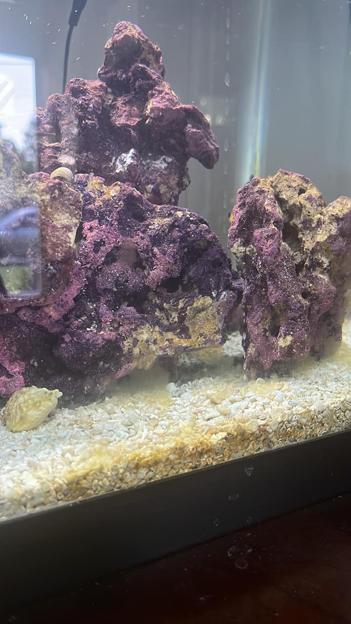 40 - 65 Gallon Cleaning Crew Package