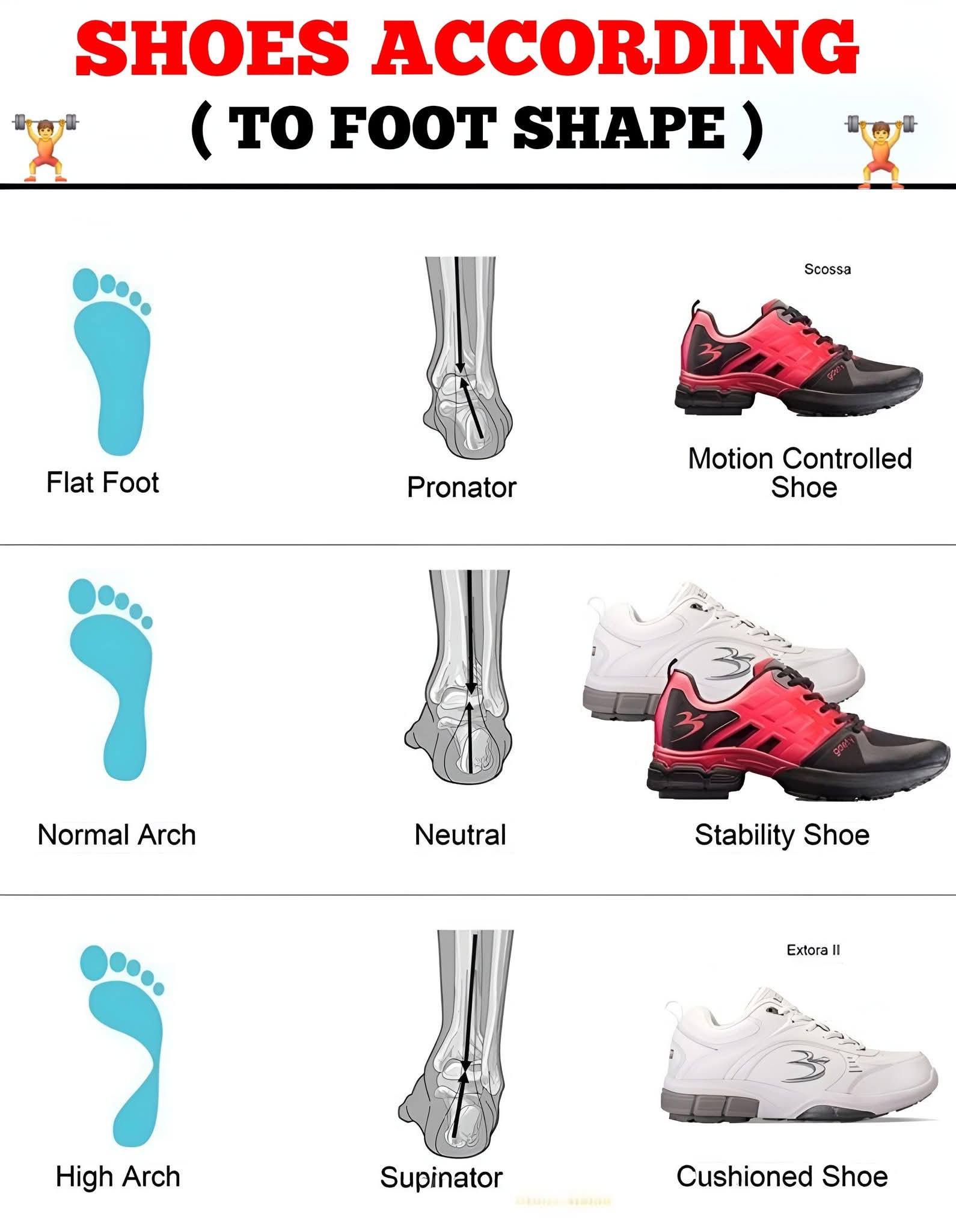 Shoes According To Foot Shape ?? SHOES ACCORDING (TO FOOT SHAPE 