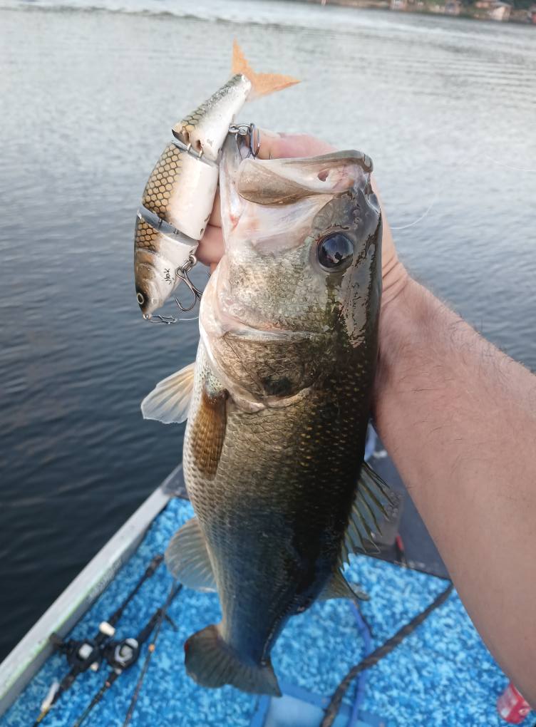 bigmac fishing lures Livingston BigMakk – Team Rhino Outdoors LLC Color:Mat Bass 7 Weight brand_booyah Abu Garcia Max STX