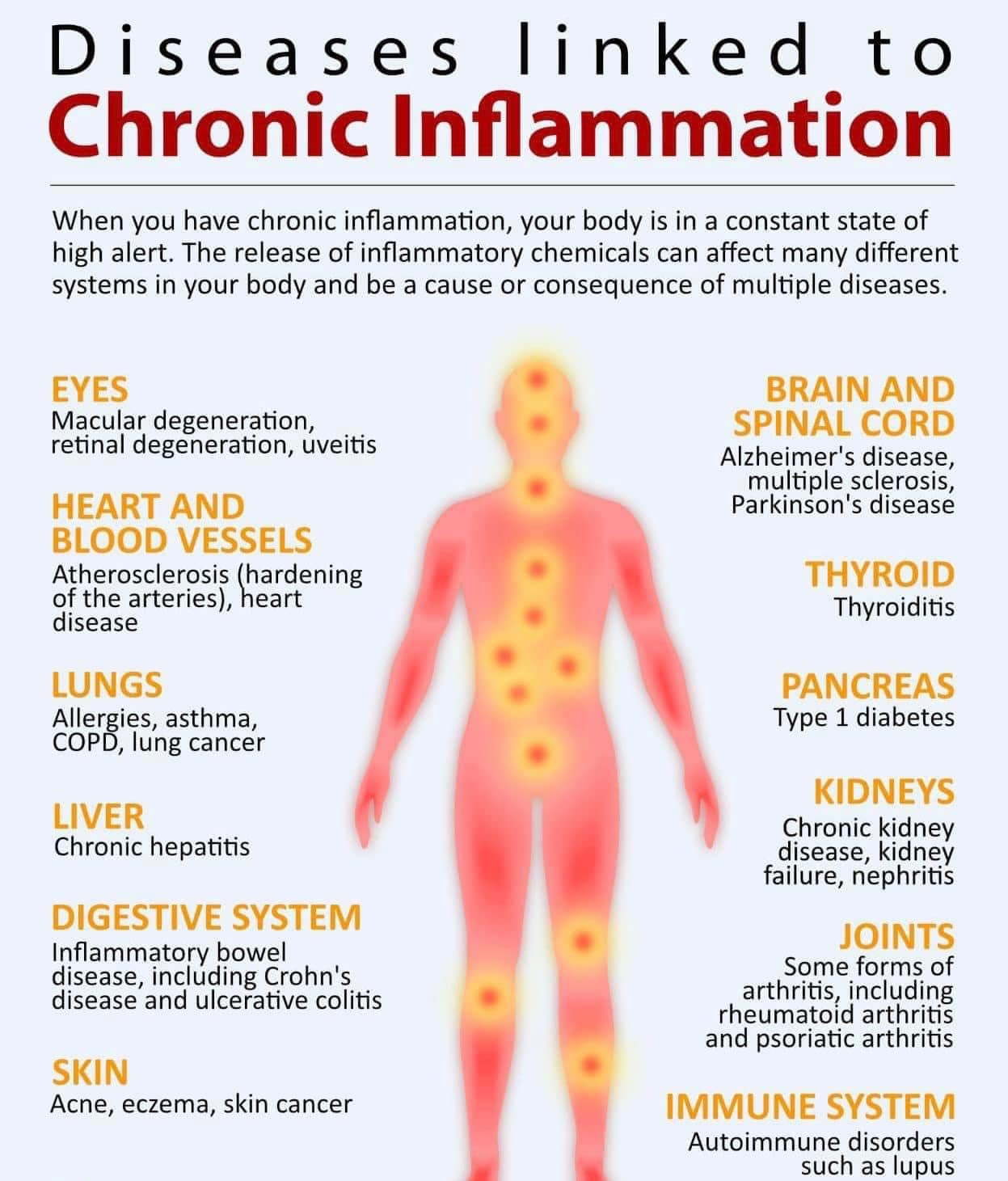 The Science - 🔥 Chronic Inflammation - The Silent Killer (And What You ...