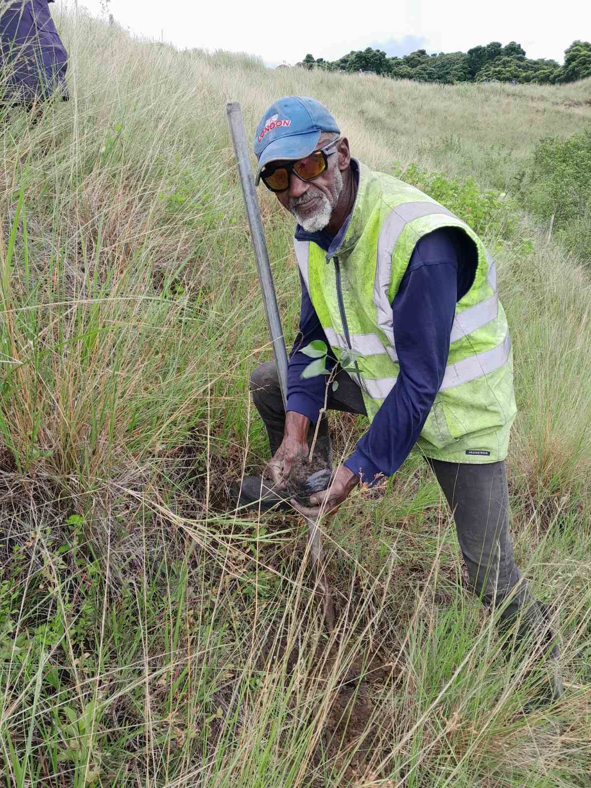 #IDOF 🌳| The 2024 national... - Ministry of Forestry, Fiji | Facebook