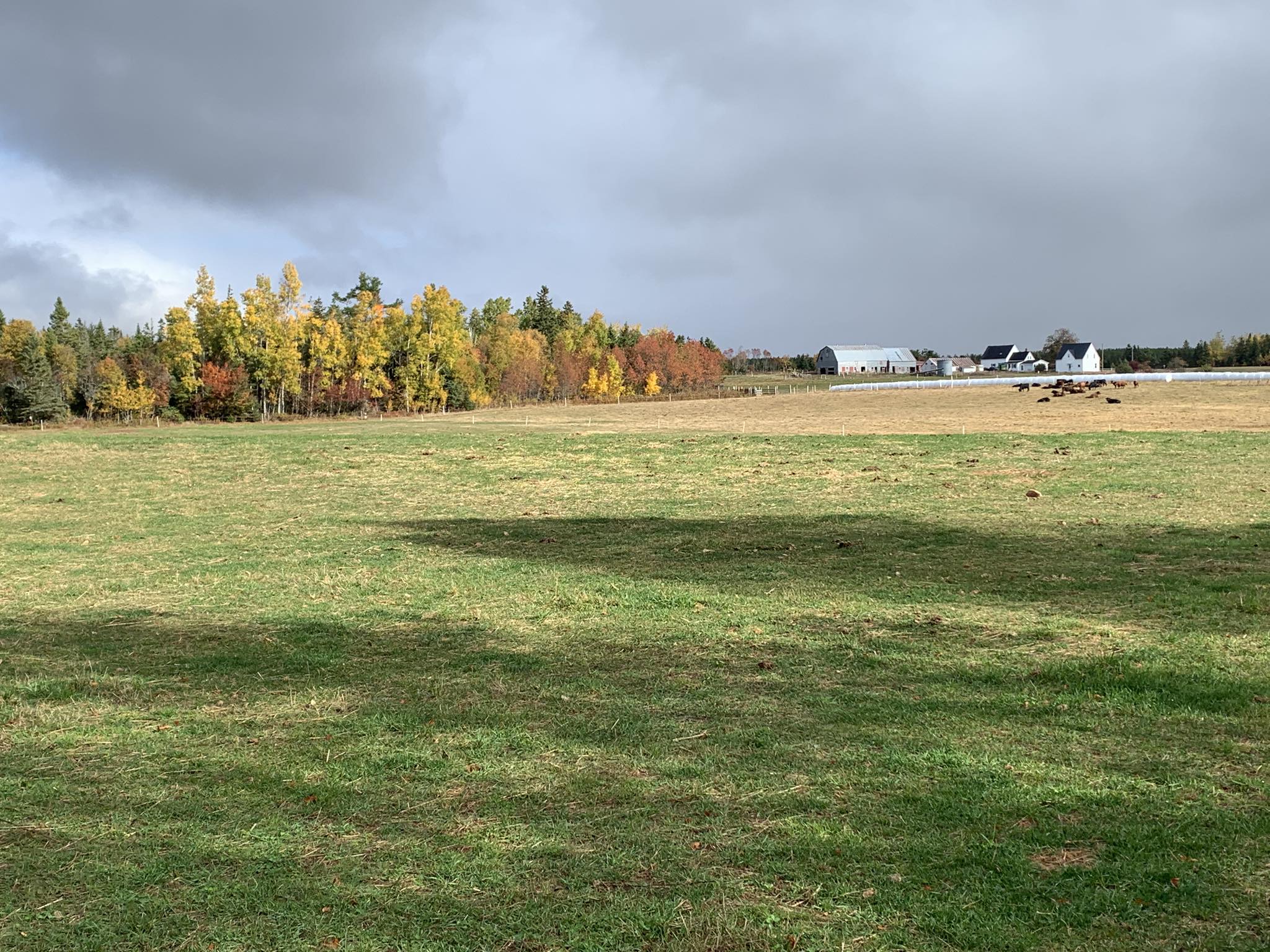 Two Rivers Farm | Flat River PE