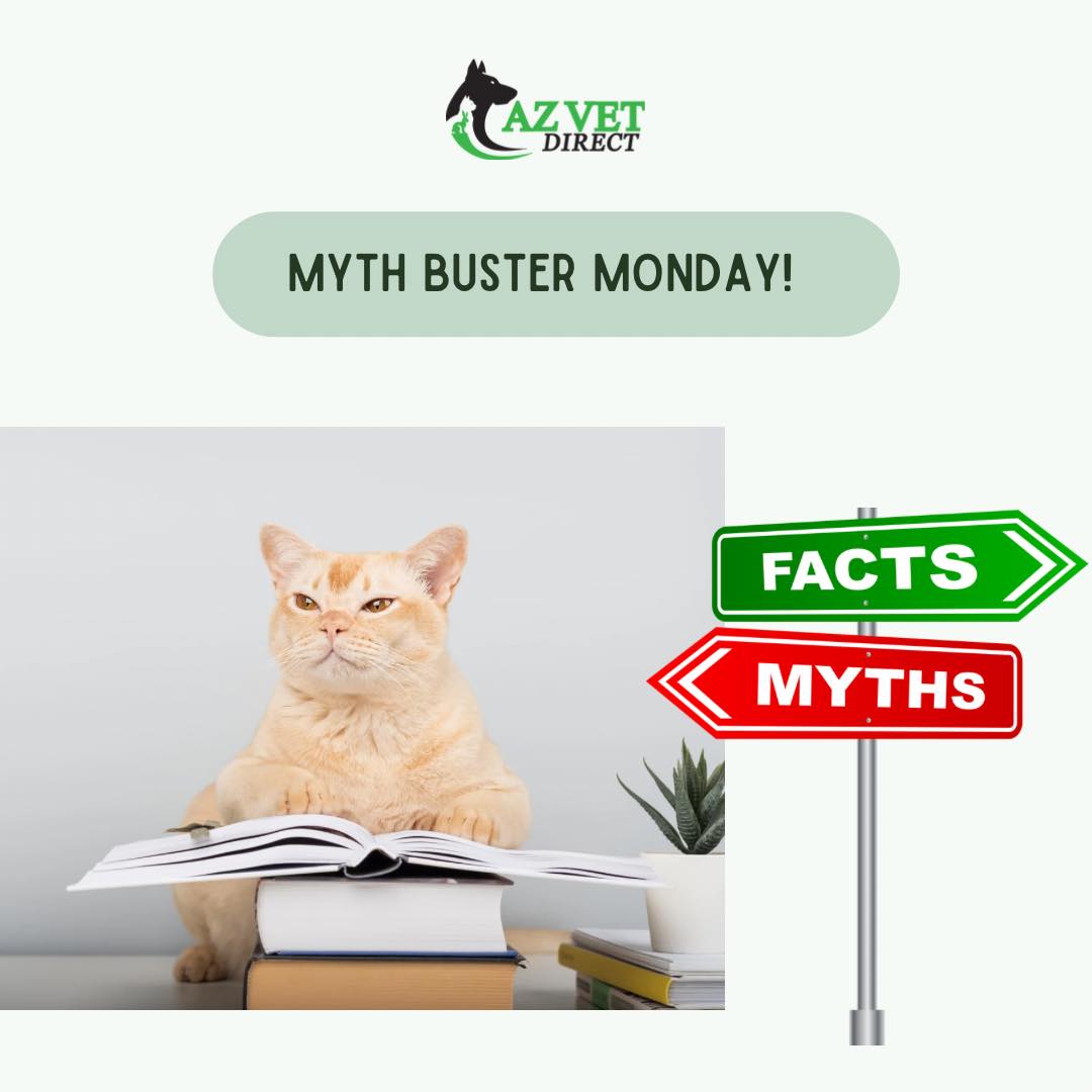 AZ Vet Direct - 🐾💚 MYTH BUSTER MONDAY 💚🐾 Myth: “My pet... | Facebook