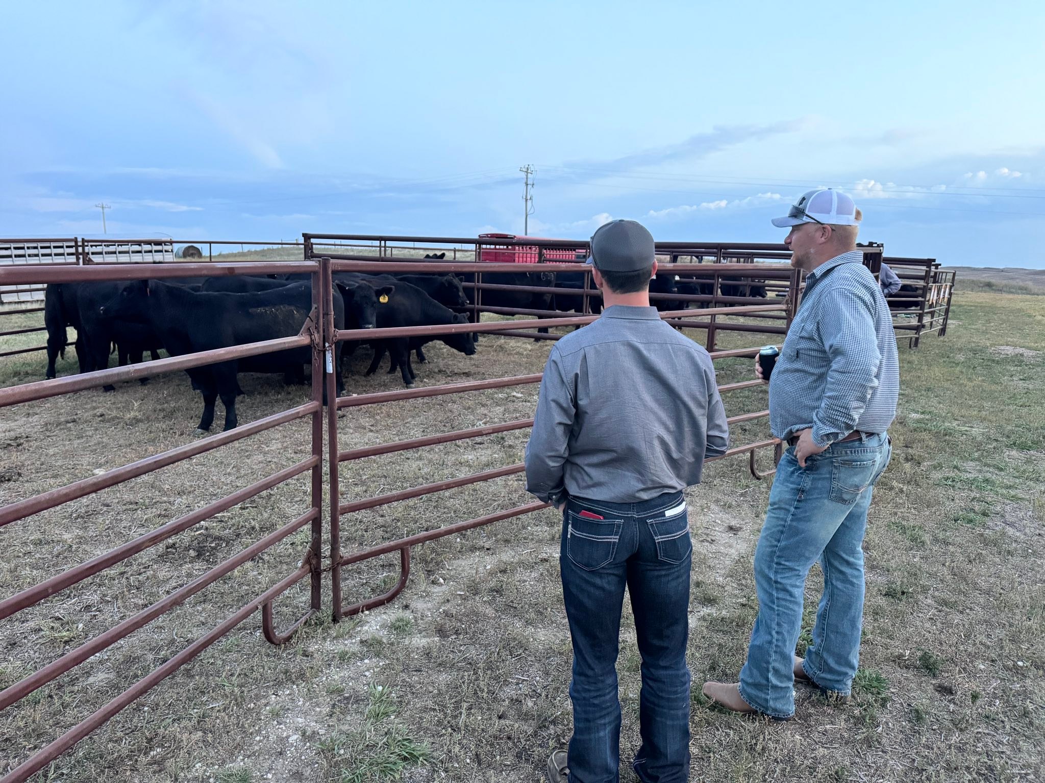 Nebraska Angus Association | Long Pine NE