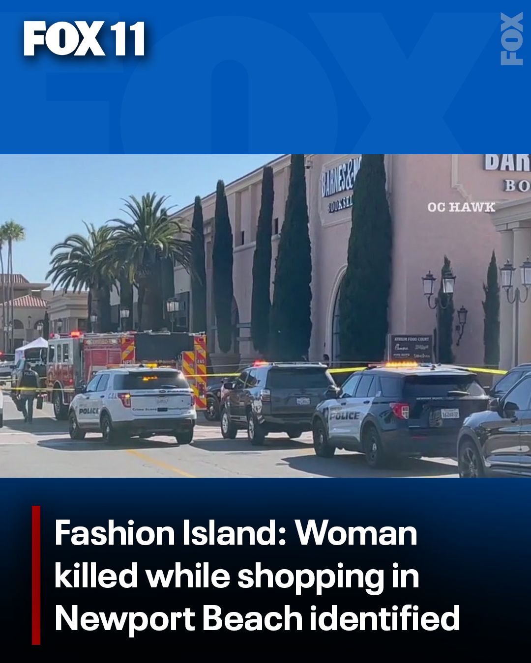 FOX - The victim was identified as 68-year-old Patricia McKay who ...