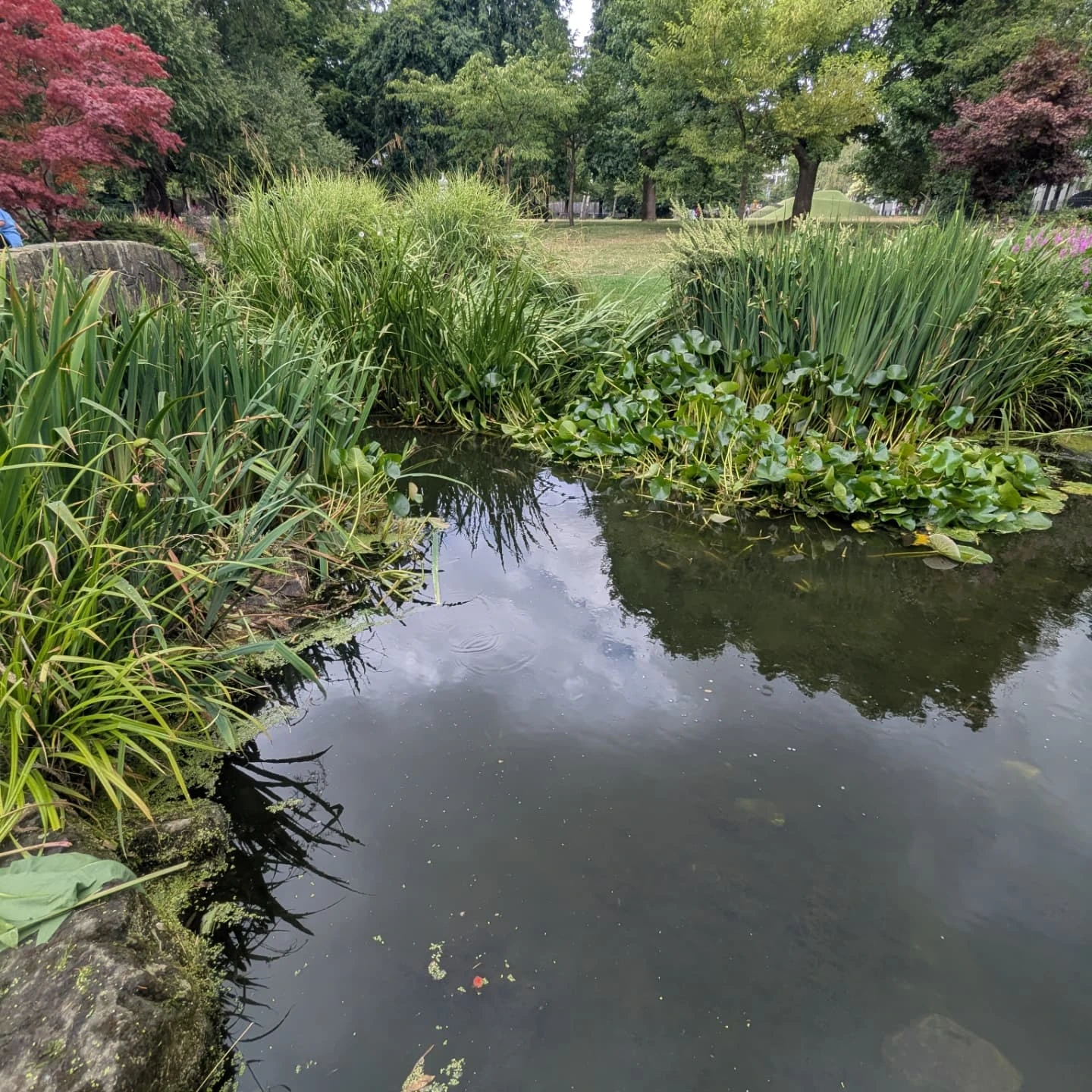 japanese-garden-at-hammersmith-park