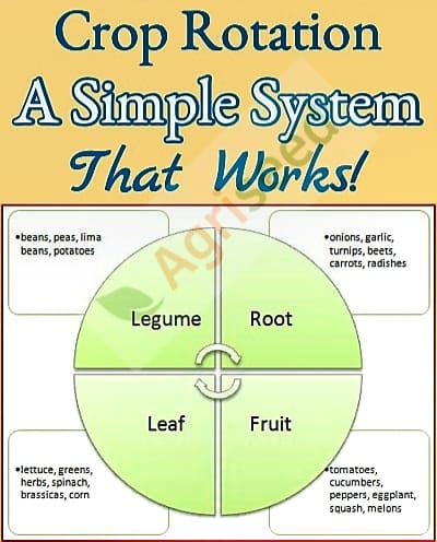 Agriseed - Crop Rotation Crop rotation is like a natural detox for your ...