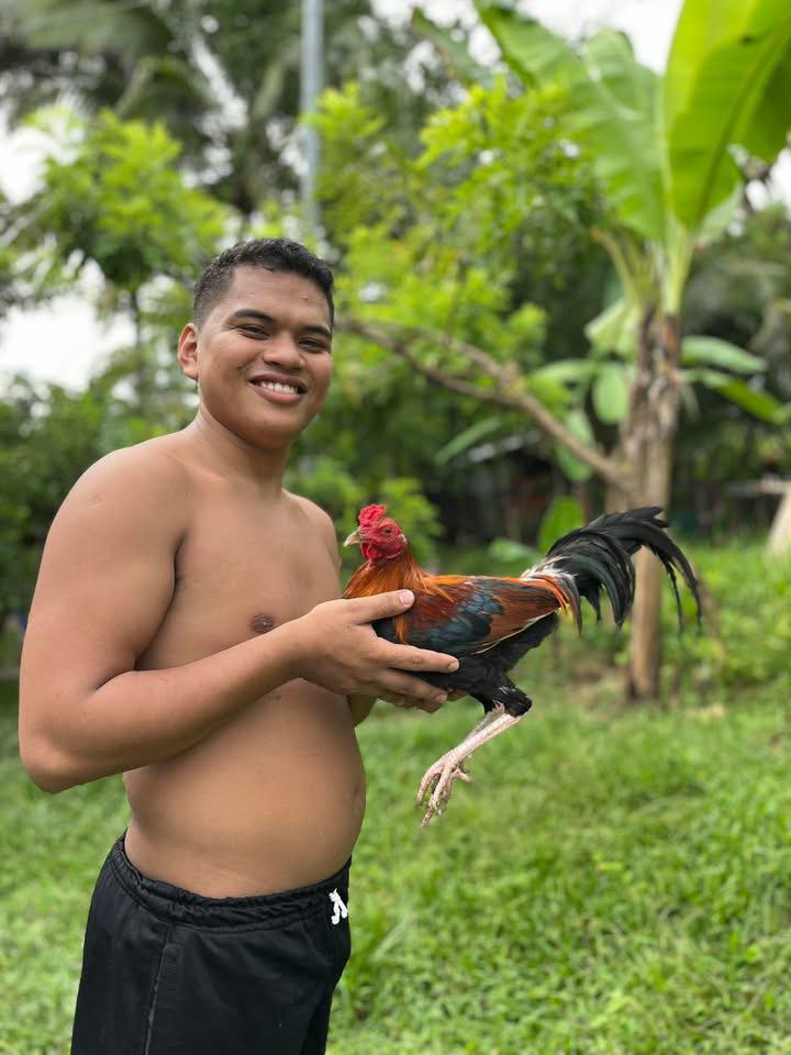 Apong torning gamefarm | Cebu City