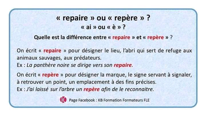 L’Art des Mots - Grammaire et Conjugaison