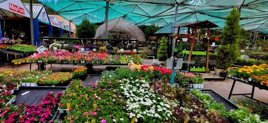 pretty-gardens-centre-bloemfontein