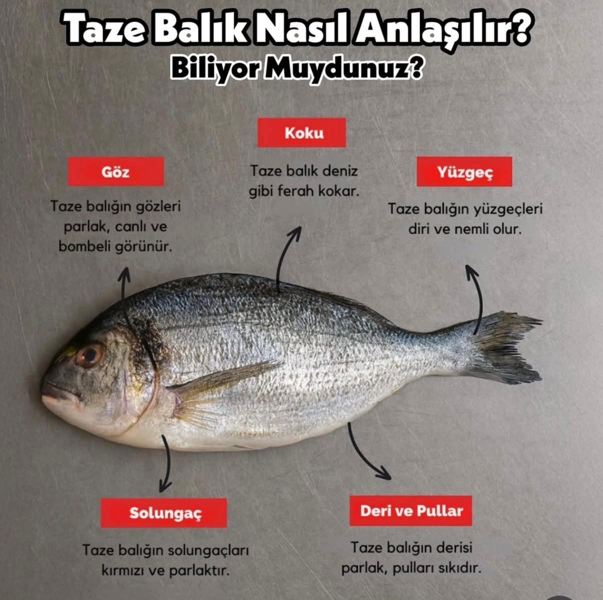 🐠 Balık Mevsimi... - Dr. Feridun Kunak’la Evlerinize Sağlık | Facebook