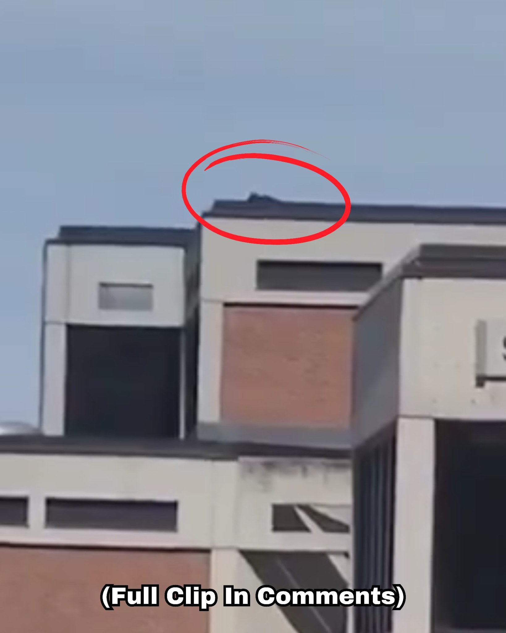 #BREAKING: New video shows the suspect... - The JRE Companion | Facebook