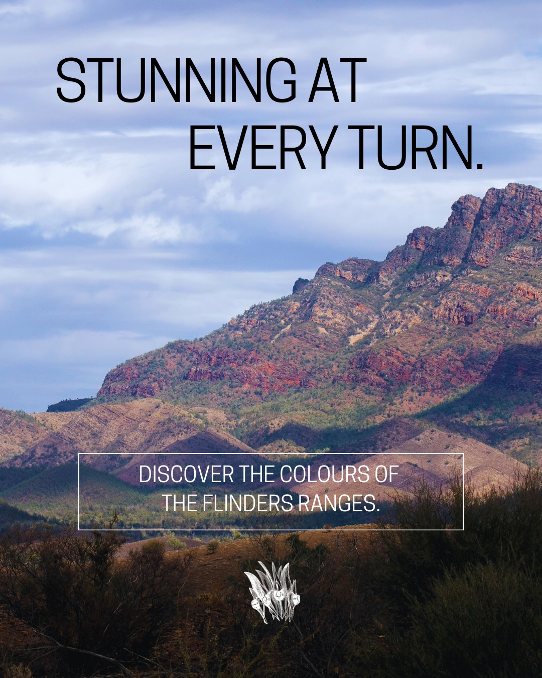 Hawker - The colours of the ranges, all in one drive. 🚐 The Moralana ...
