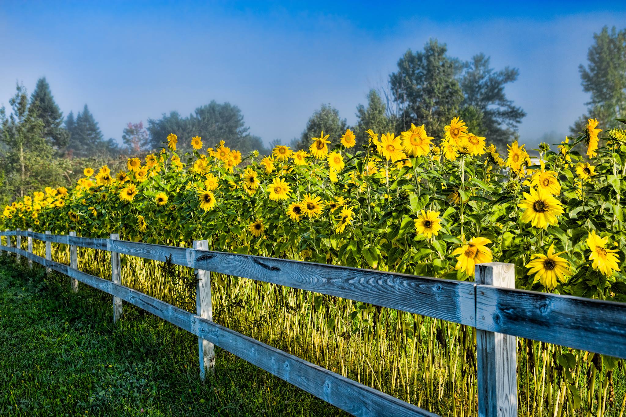 Keystone Insurance Group, Inc | Boca Raton FL