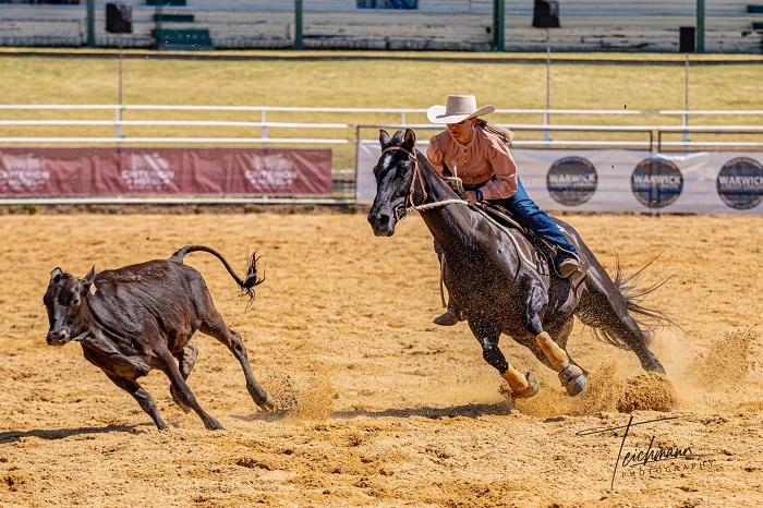 Warwick Rodeo and Gold Cup Campdraft Live