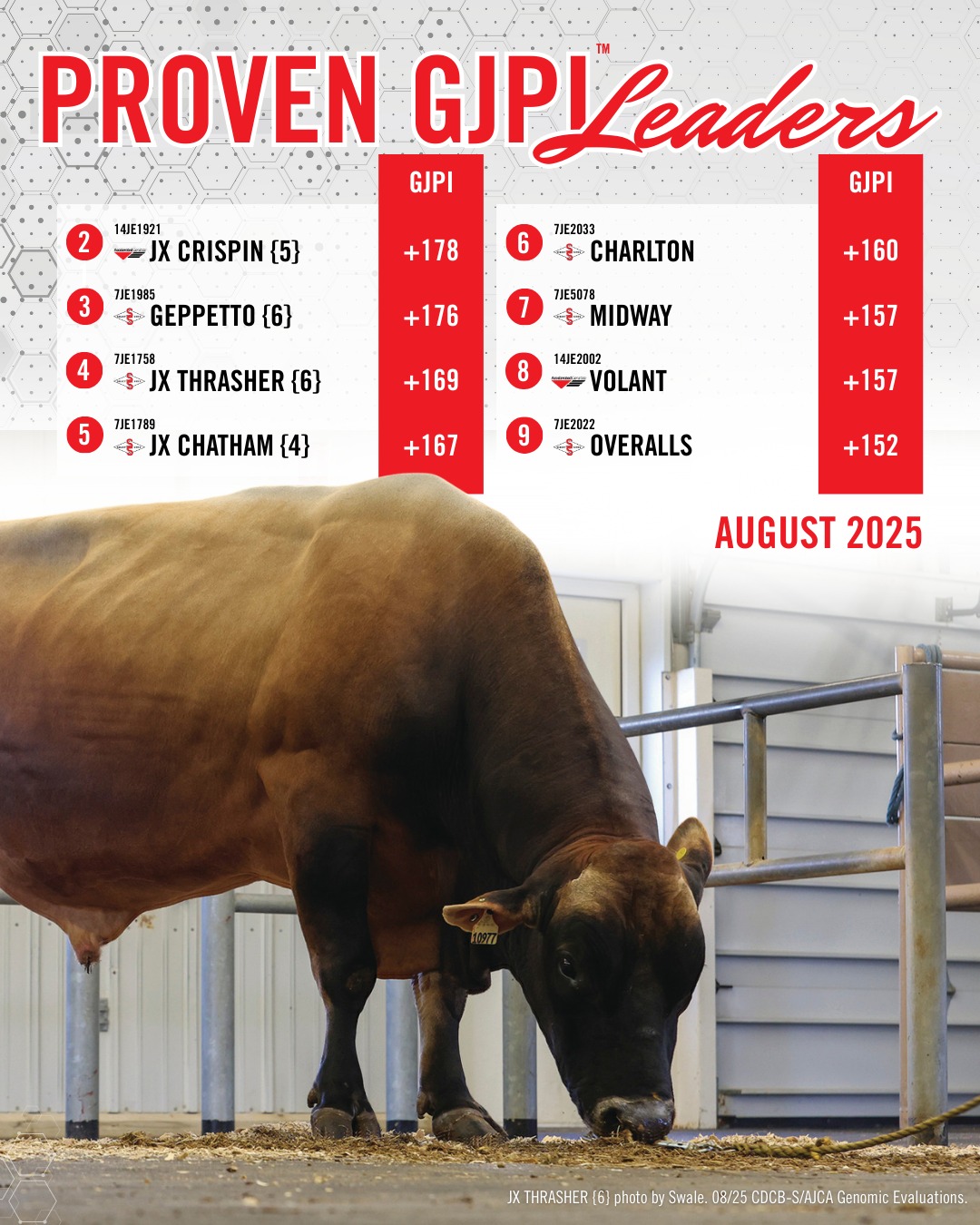 Select - Nine of the top 10 daughter-proven Jersey sires for GJPI call ...
