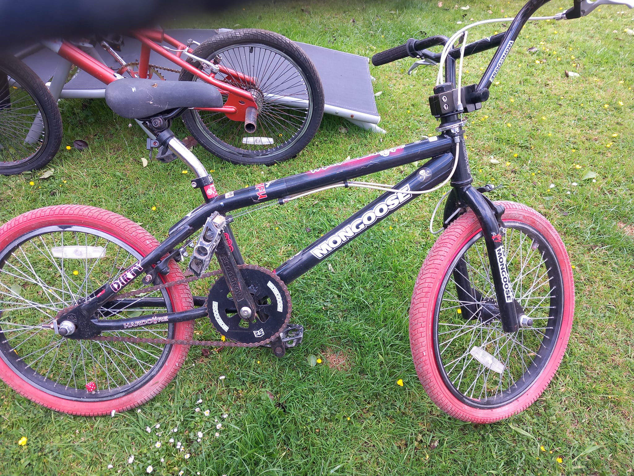 What is the age of a purple Villain BMX bike?