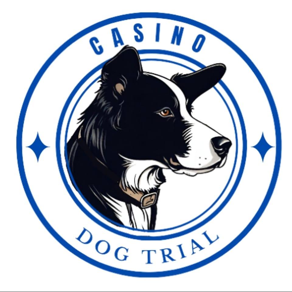 Seeking... - Casino John Gould Memorial cattle dog trial | Facebook