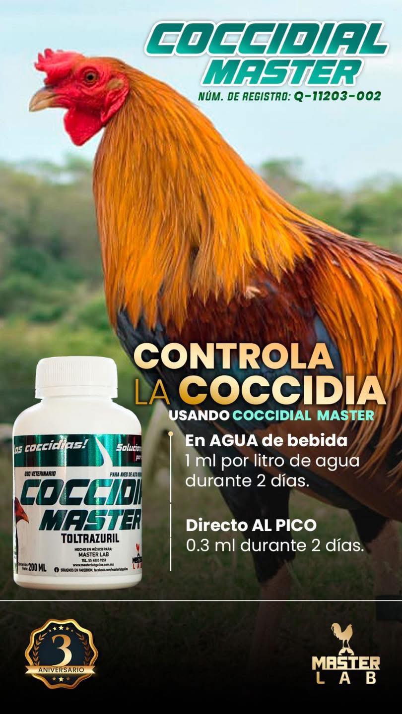 MasterLab Mazatlán Oficial