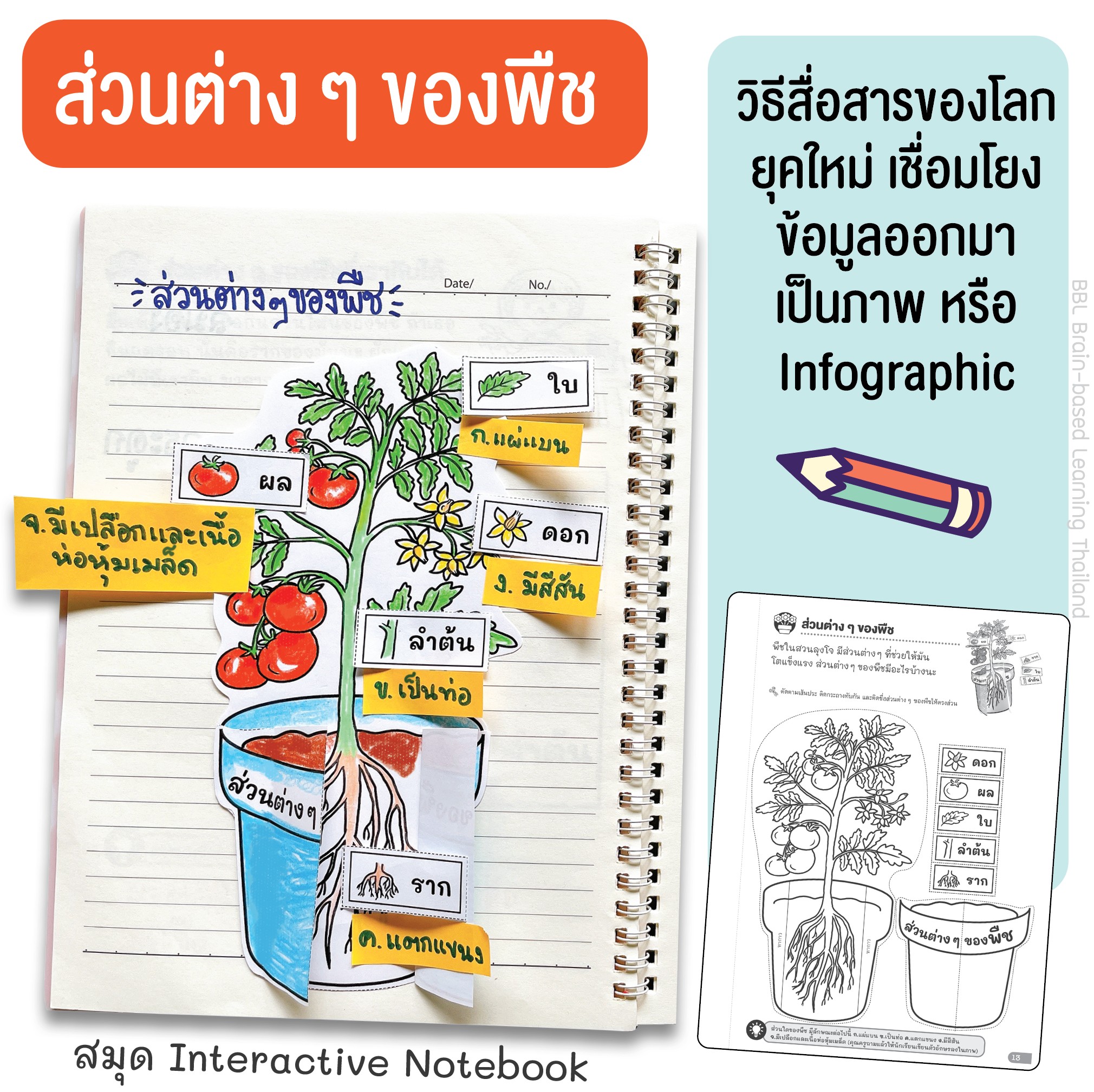 🔥Graphic Organizer... - BBL Brain-based Learning Thailand