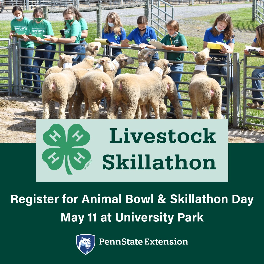 Lower Dauphin 4-H Livestock Club