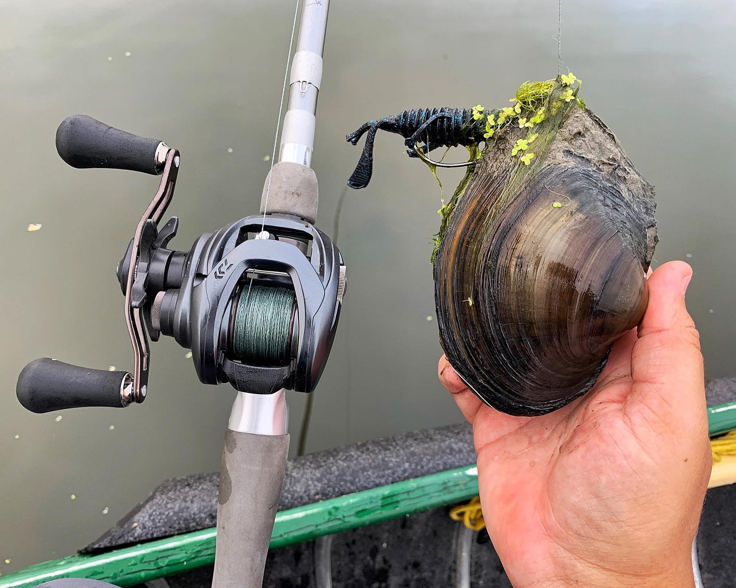 crank reel fly tape Sticky Roll System 600' Refill Sticky Roll Luhr Jensen Needlefish, Bikini Color:Zombie Perch Once entrapped Cuba