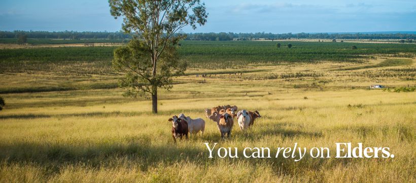 Elders Rural and Lifestyle Real Estate QLD | Brisbane QLD