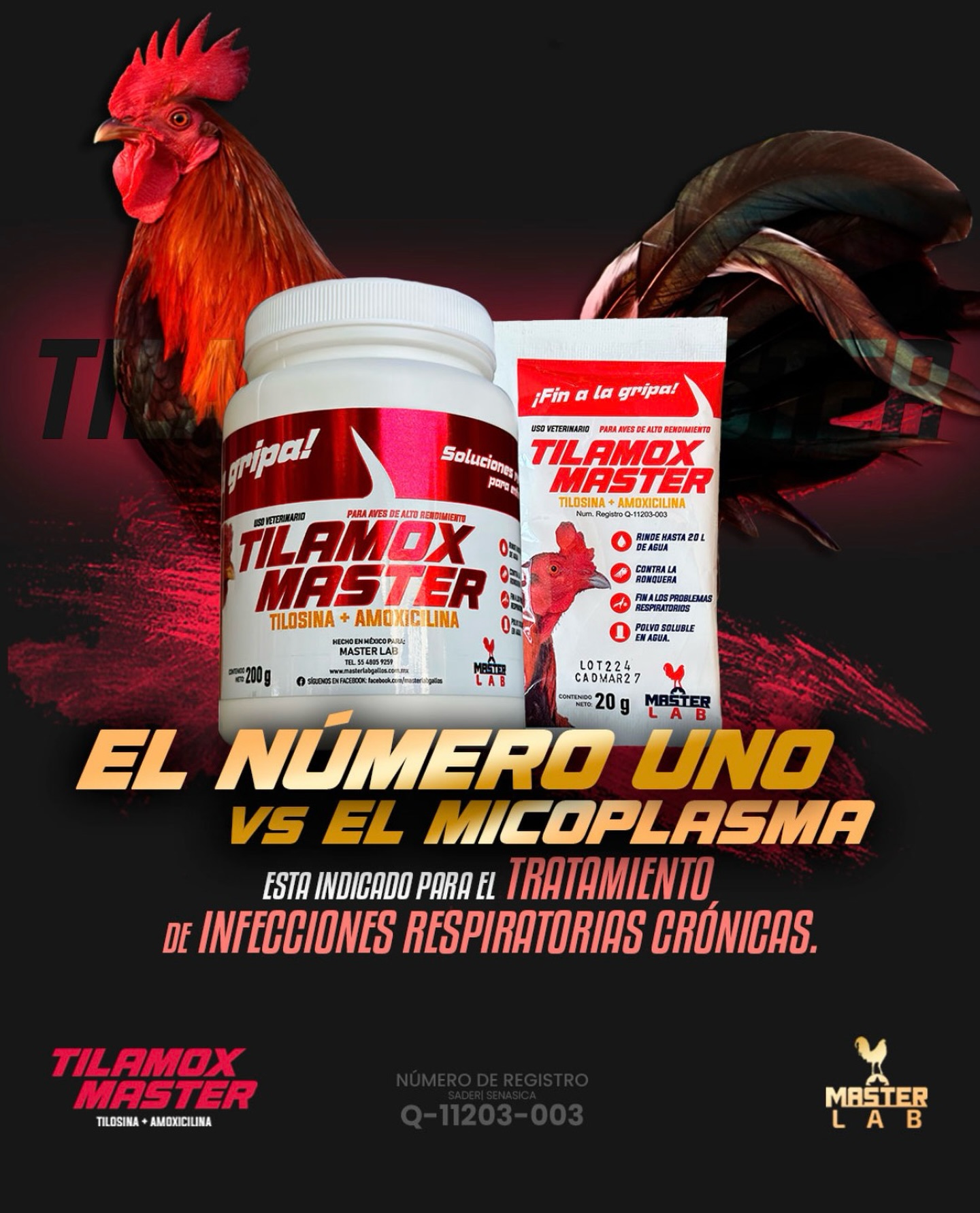 MasterLab Mazatlán Oficial