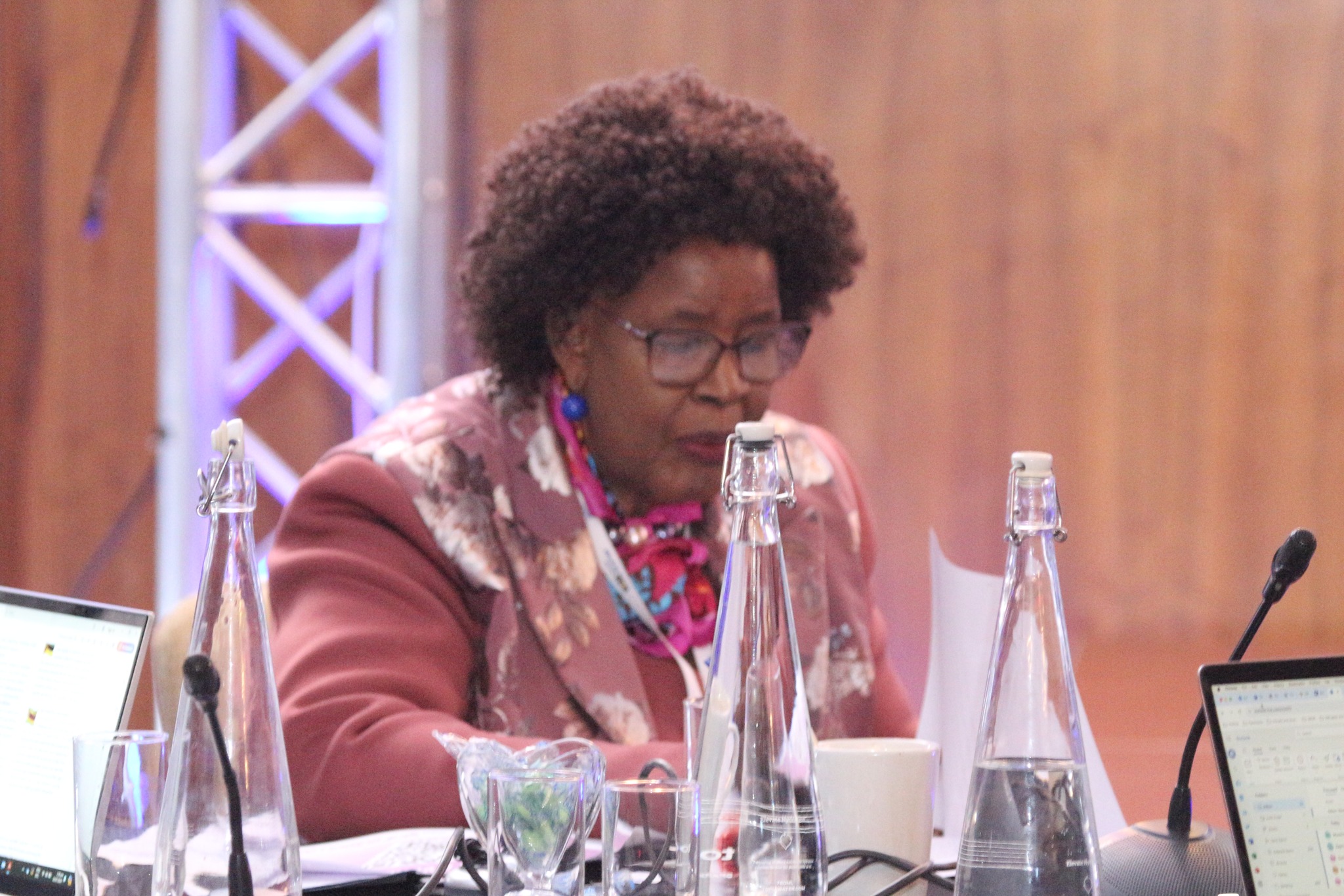 Enhancing Women's political Participation in Africa - WPP_Africa