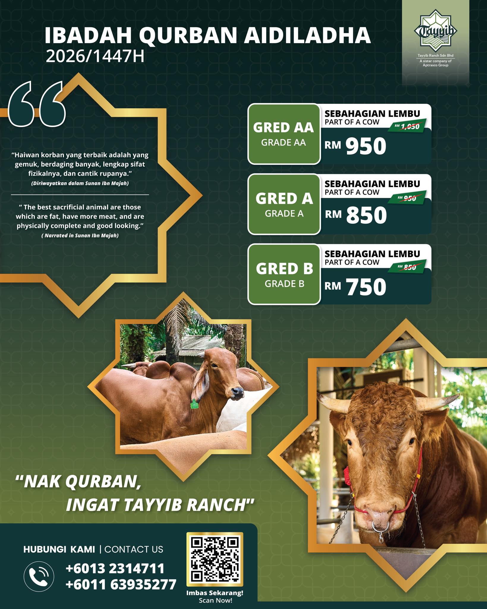 Tayyib Ranch - Mencari perkhidmatan Qurban yang... | Facebook