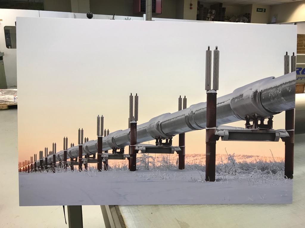 SPP digital | Great Yarmouth