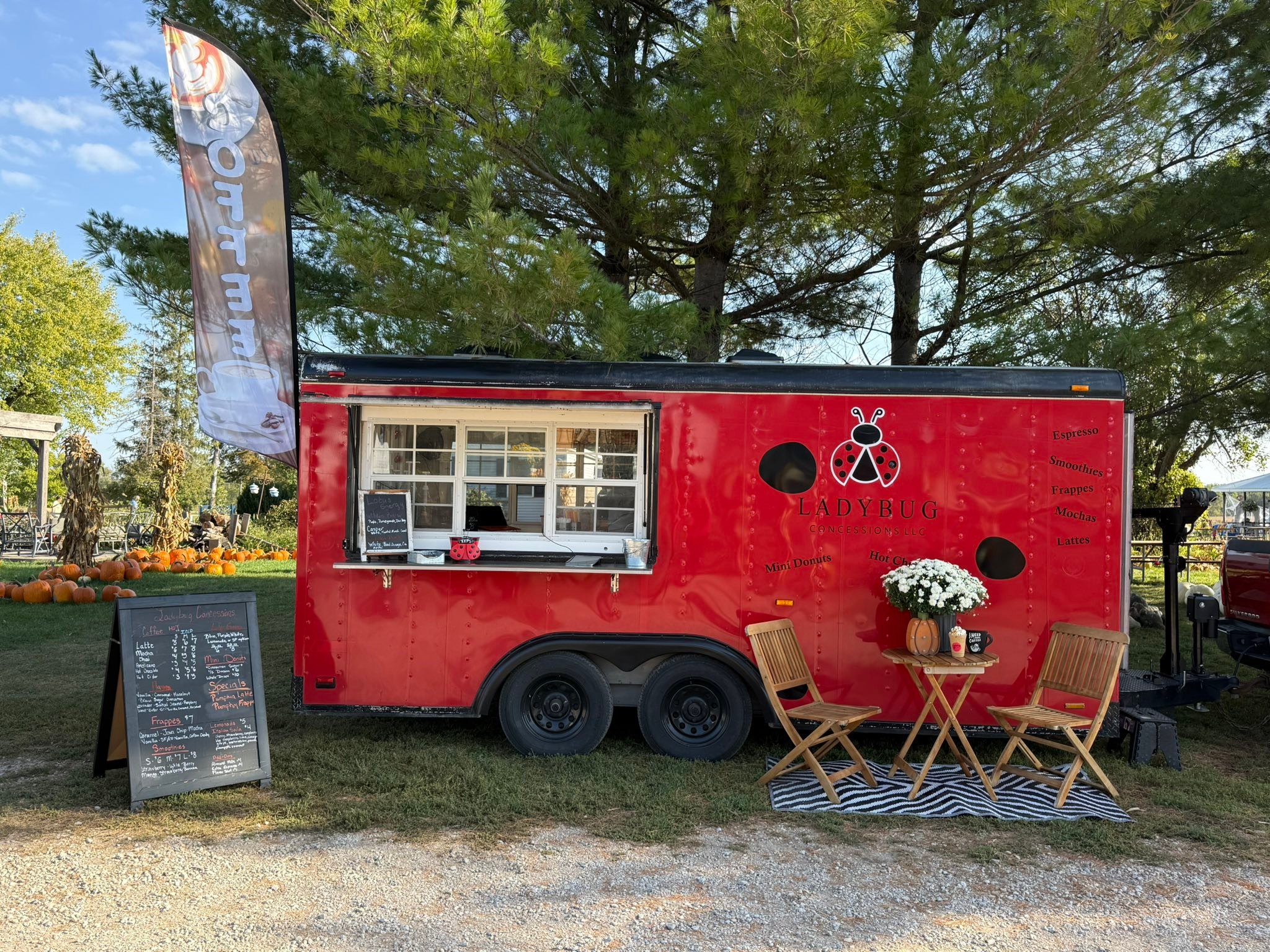 Ladybug Concessions LLC | Tipton IA
