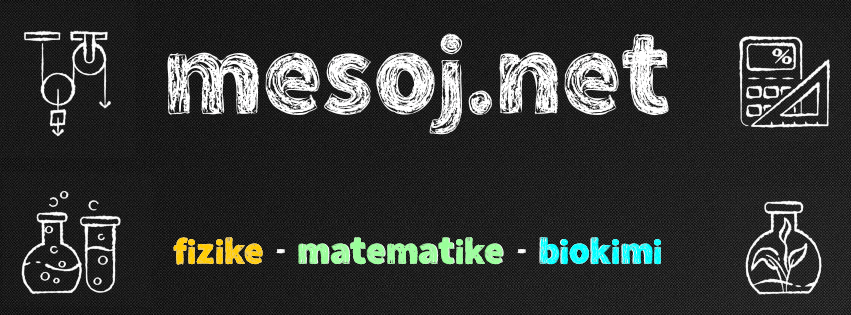mesoj.net