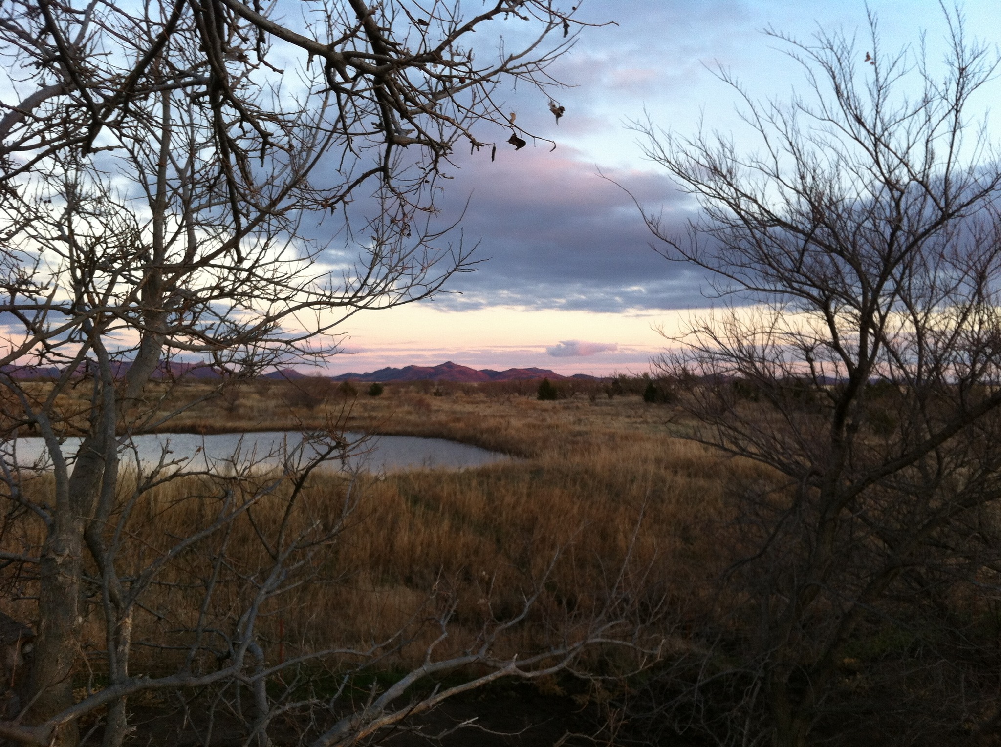 Swanson Ranch