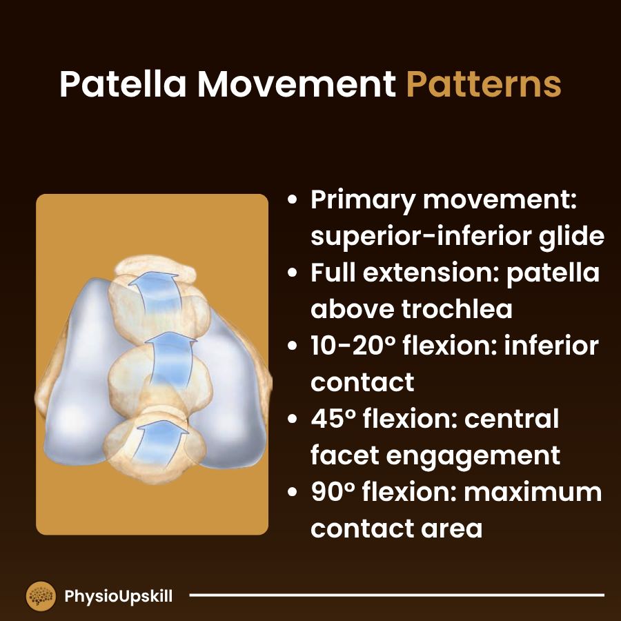 PhysioUpskill - ## Episode143: Kinesiology of Ankle and... | Facebook