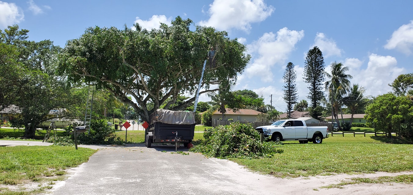 Pinnacle Lawn & Tree Service Inc