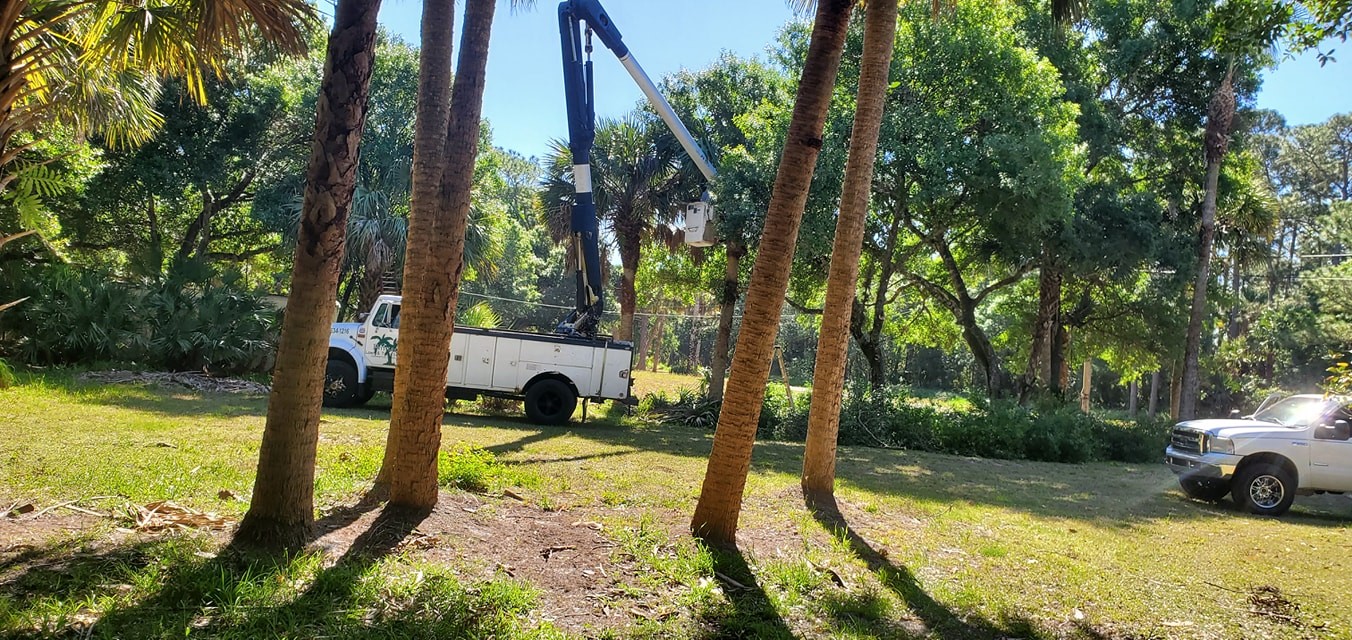 Pinnacle Lawn & Tree Service Inc