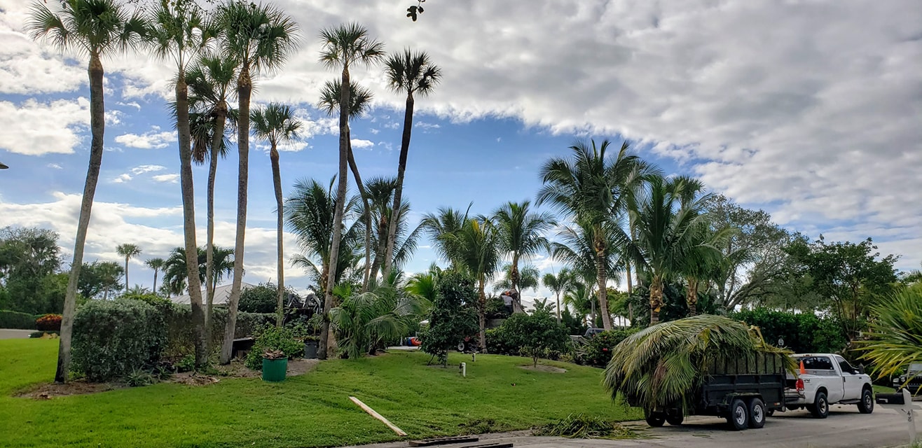 Pinnacle Lawn & Tree Service Inc