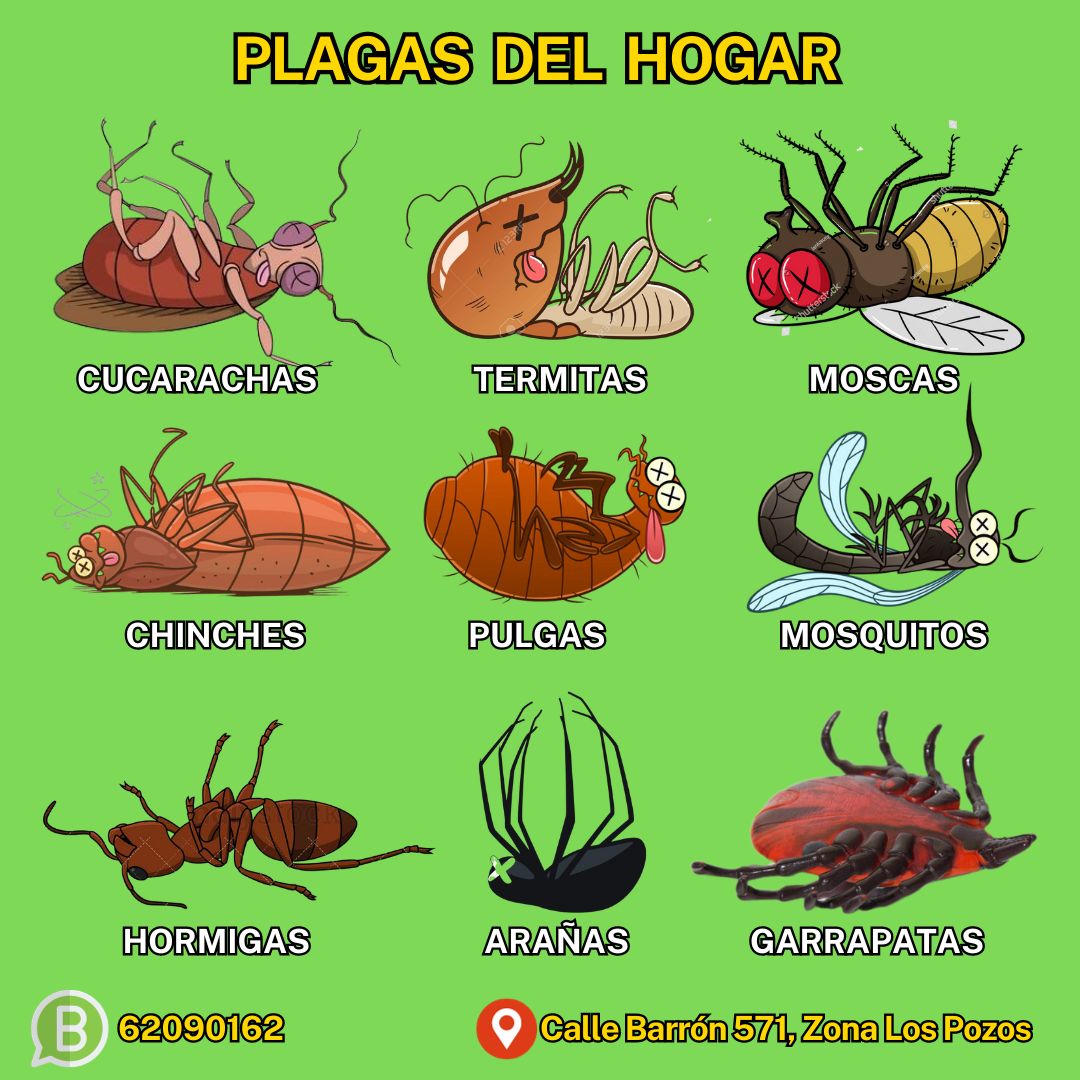 La - TERMIXAN (CEBO RATICIDA) Formulación: Cebo a base de grano de ...