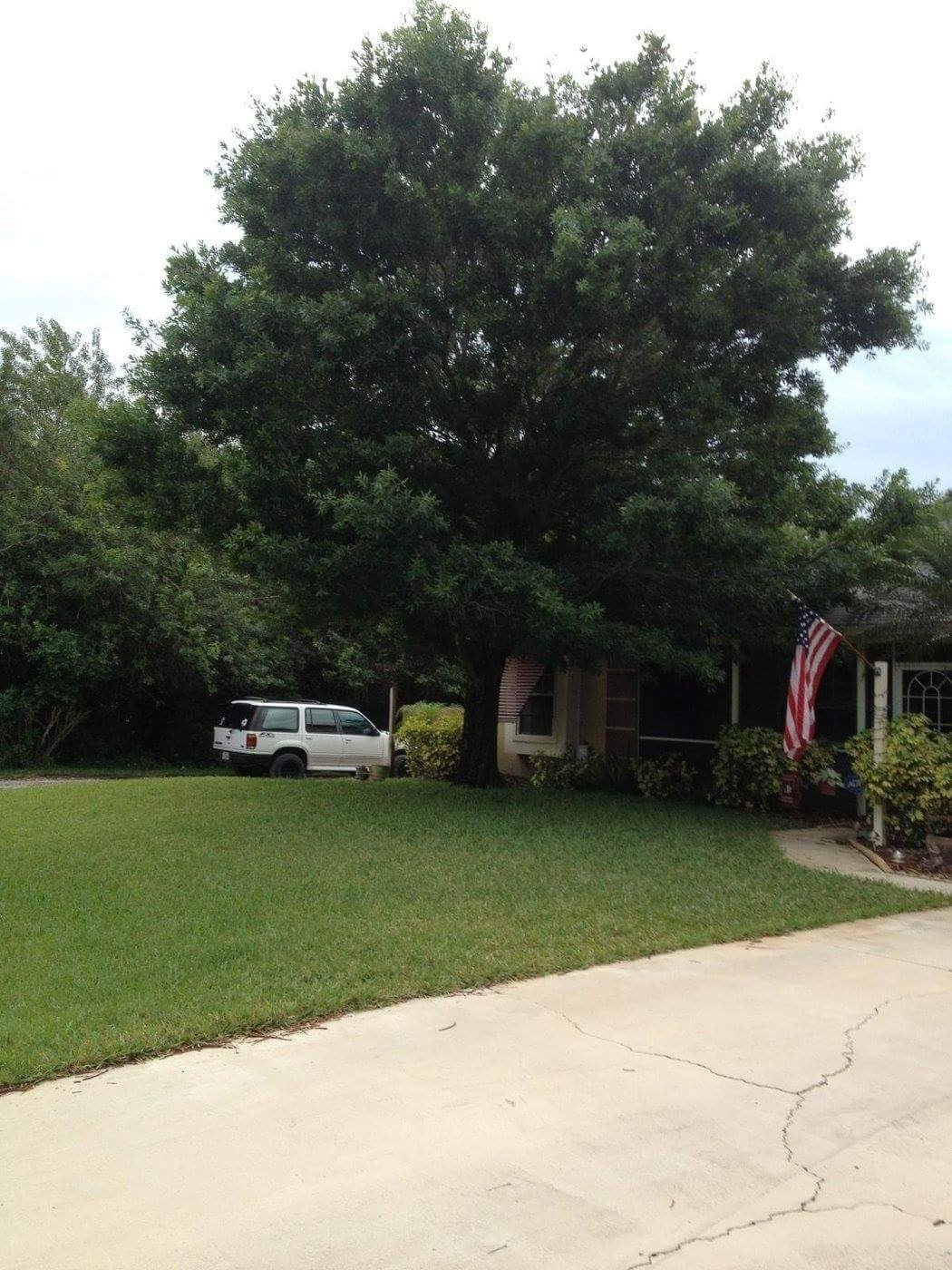 Pinnacle Lawn & Tree Service Inc