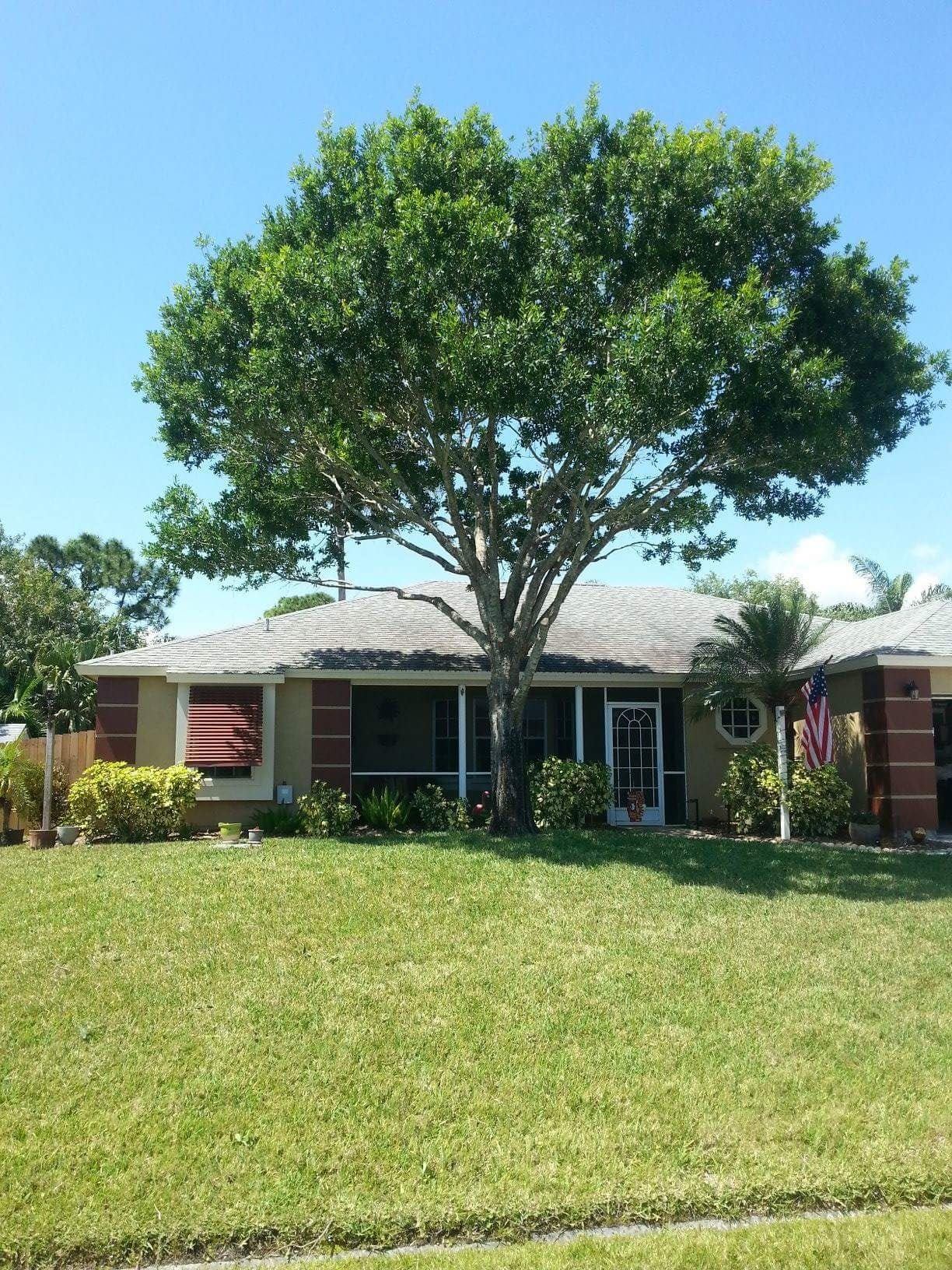 Pinnacle Lawn & Tree Service Inc