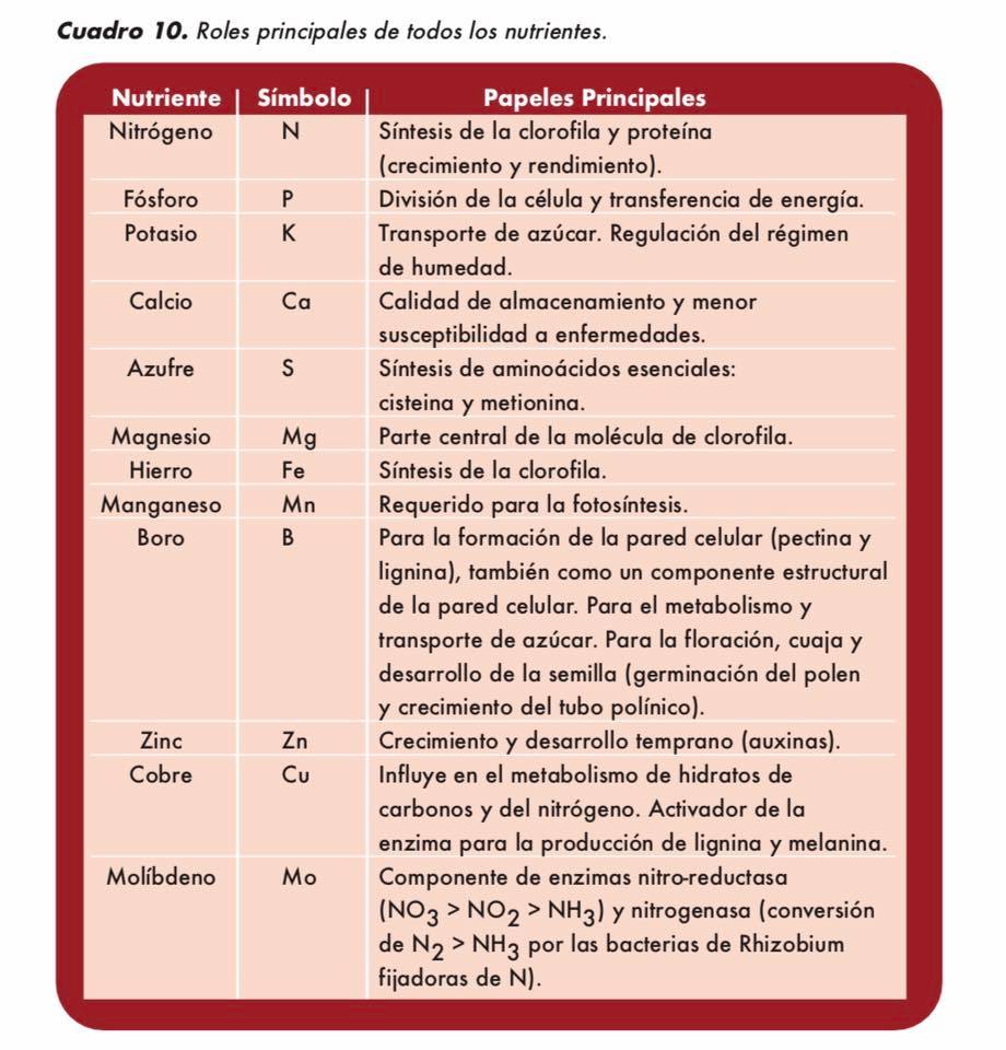 InfoAgronomia - Roles principales de los nutrientes | Facebook