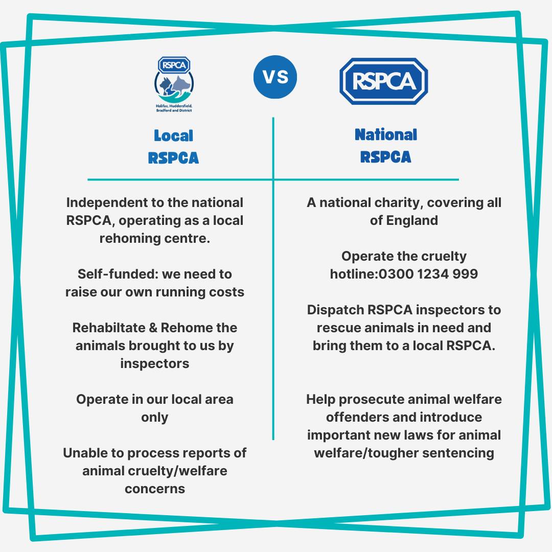 RSPCA - 𝗗𝗼 𝘆𝗼𝘂 𝗸𝗻𝗼𝘄 𝘁𝗵𝗲 𝗱𝗶𝗳𝗳𝗲𝗿𝗲𝗻𝗰𝗲𝘀 𝗯𝗲𝘁𝘄𝗲𝗲𝗻 𝗮 𝗹𝗼𝗰𝗮𝗹 𝗥𝗦𝗣𝗖𝗔 𝗮𝗻𝗱 𝘁𝗵𝗲 ...