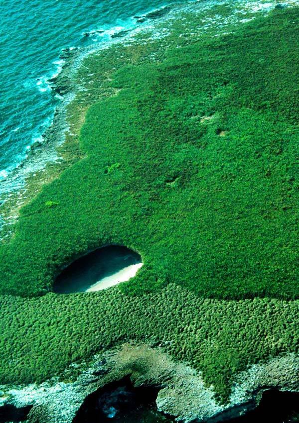 Best Beaches of the World