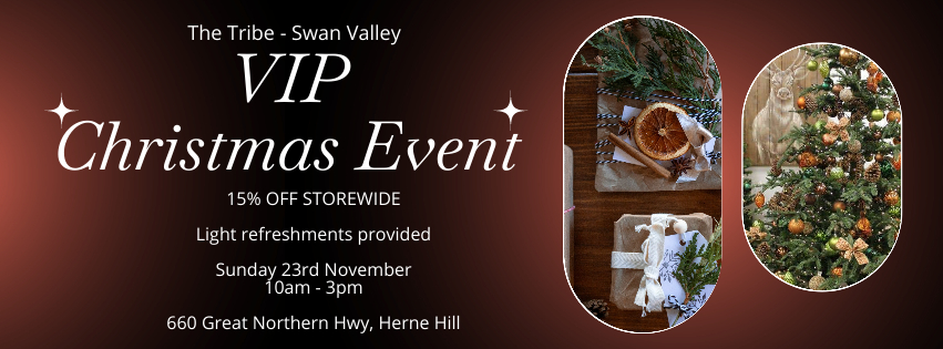 Christmas VIP Event