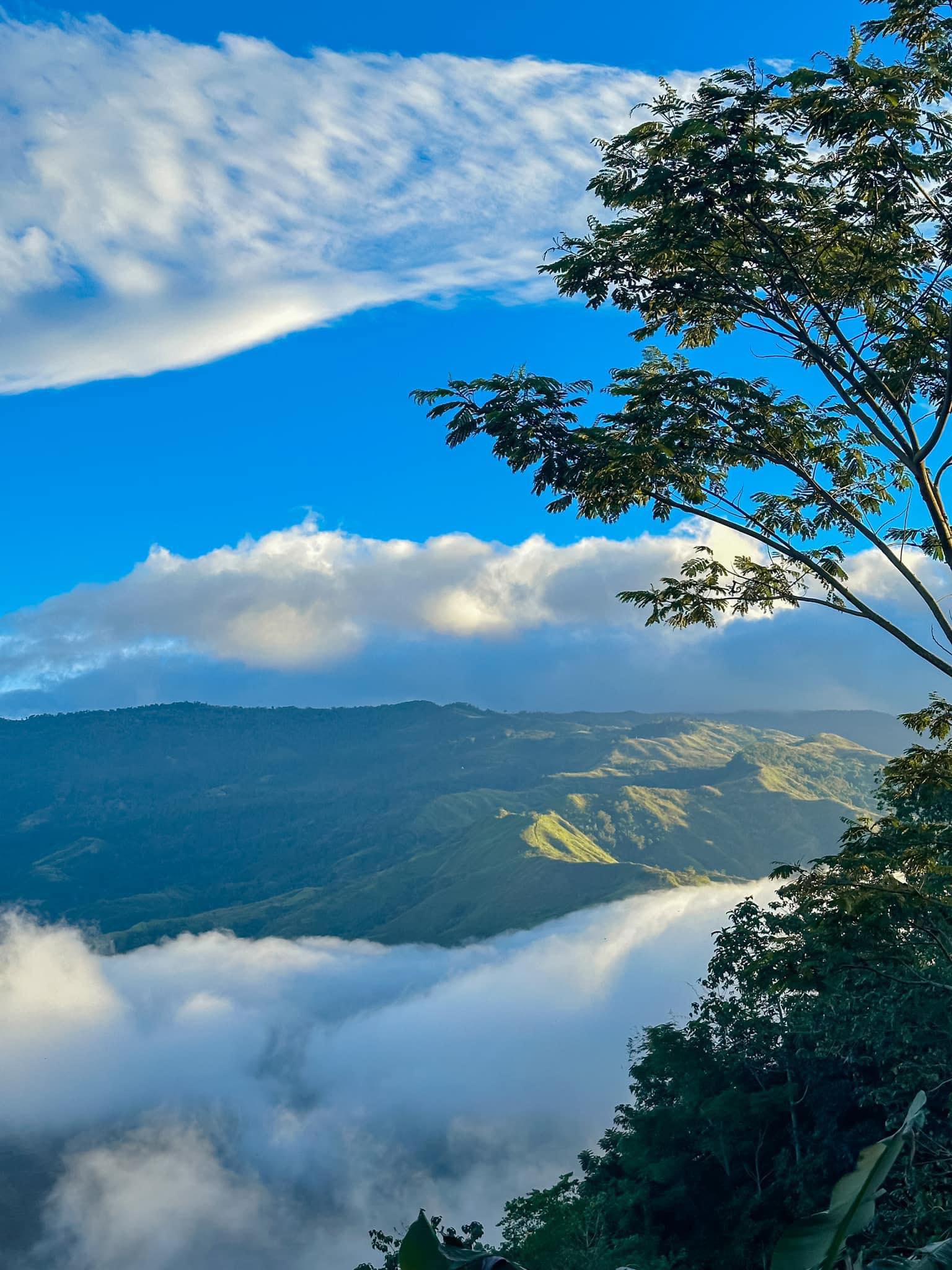 🚨 Bukidnon, here’s your next food... - Local Loop Bukidnon | Facebook