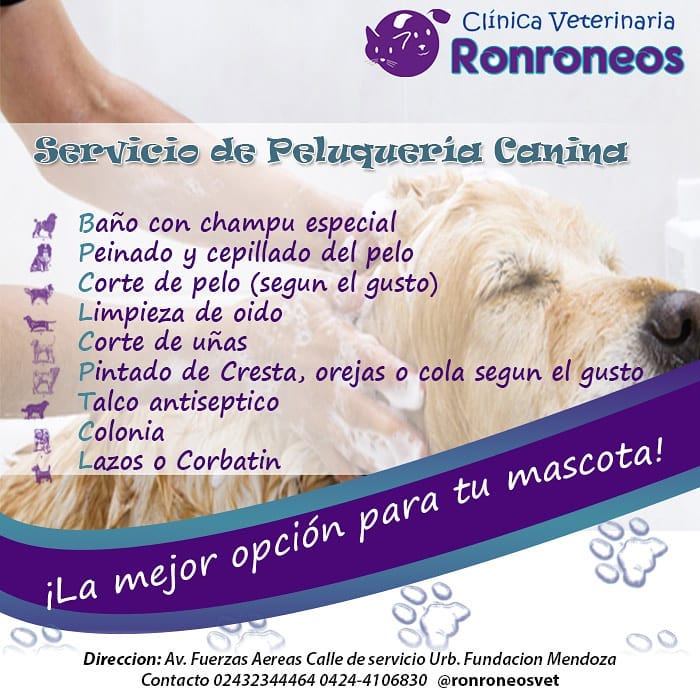 Ronro Neos