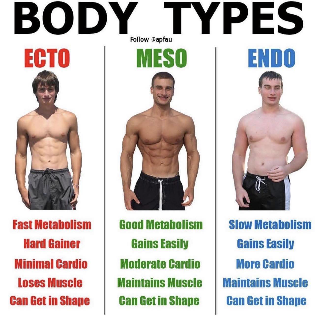 Pfau - Somatotypes are controversial and these pictures show why. At ...