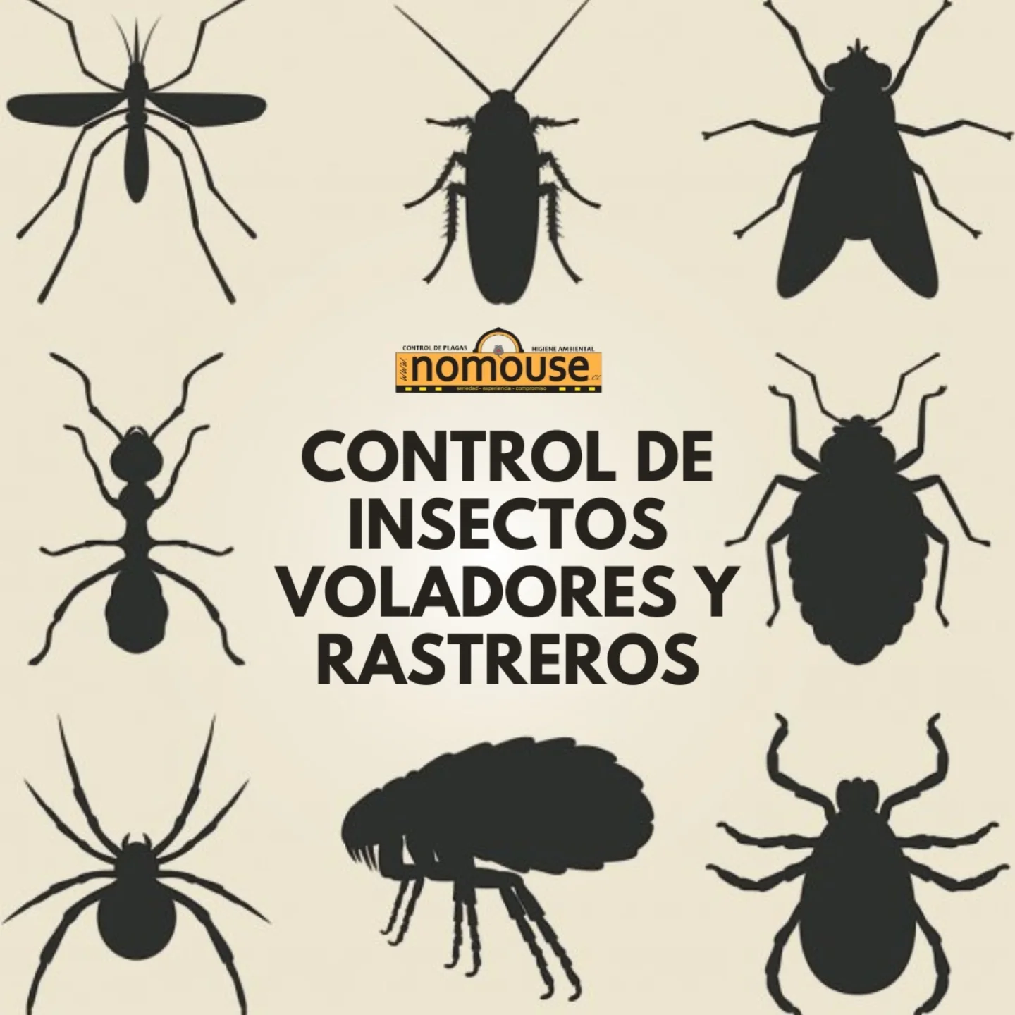 nomouse.cl - 🚫🪳 ¡Chao insectos rastreros! 🕷️🐜 Las... | Facebook